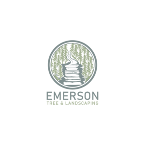 Logo Design by Dream Logo Design for this project | Design: #27155808