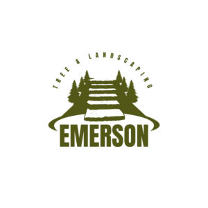 Logo Design by Dream Logo Design for this project | Design: #27155809