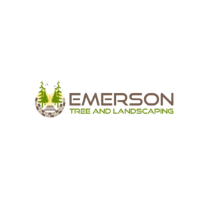 Logo Design by Dream Logo Design for this project | Design: #27155810