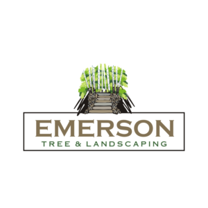 Logo Design by Magic of Art for this project | Design #27158301
