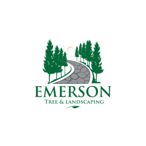 Logo Design by geni for this project | Design #27174436