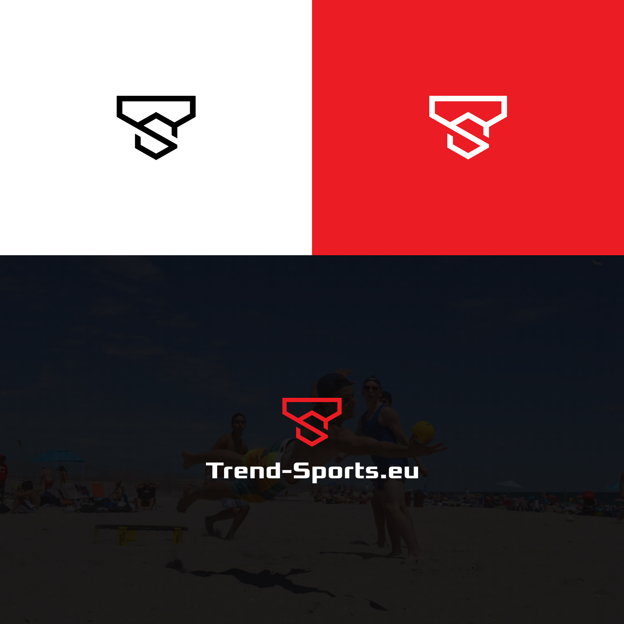 Diseño de Logo por ktmlc4 para Intelligentes-Heim.eu | Diseño #27154424