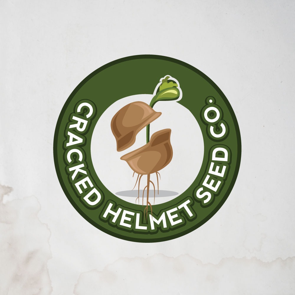 Logo Design by CreativeFlows 2 for this project | Design #27168795