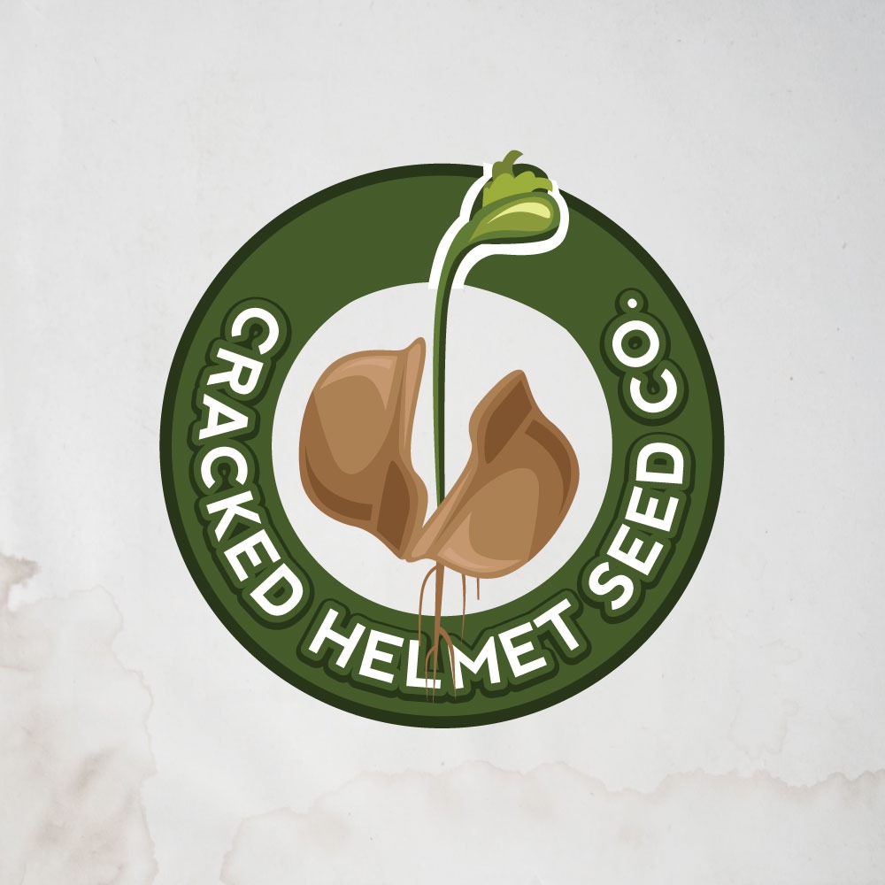 Logo Design by CreativeFlows 2 for this project | Design #27168883