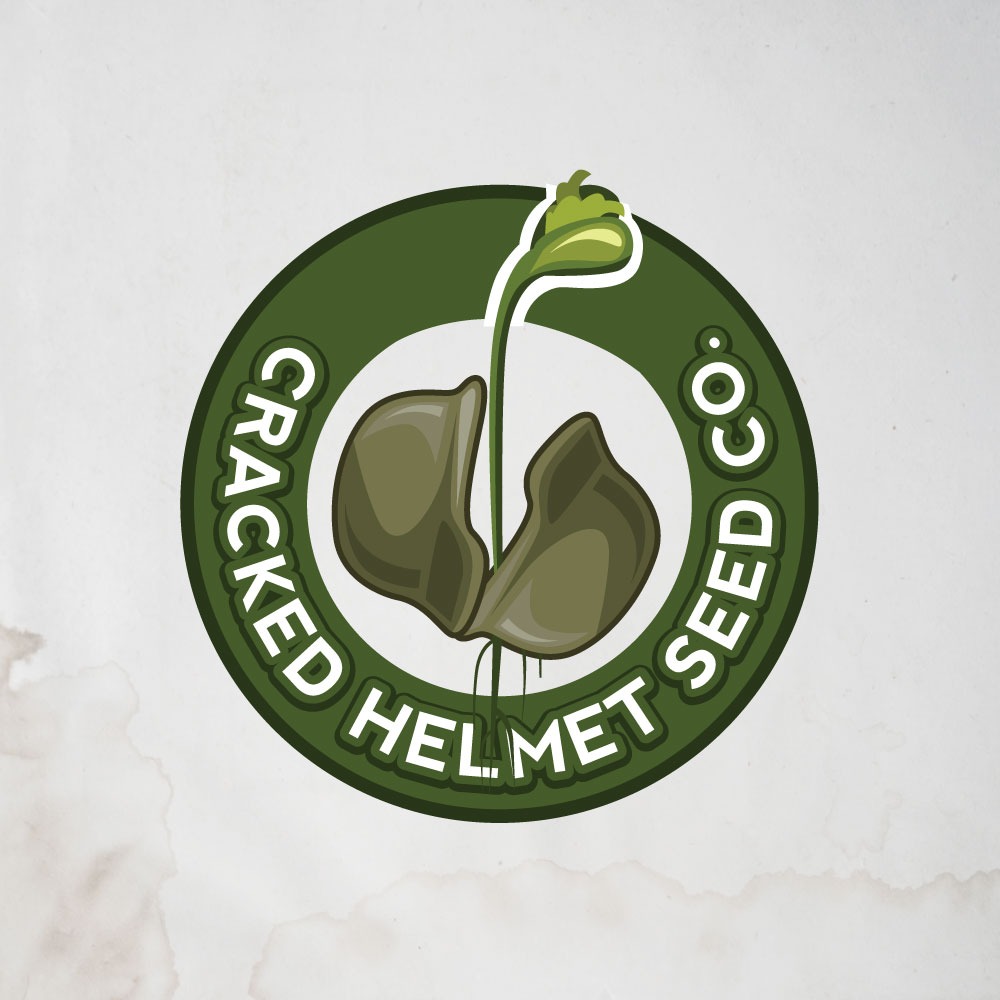 Logo Design by CreativeFlows 2 for this project | Design #27168904