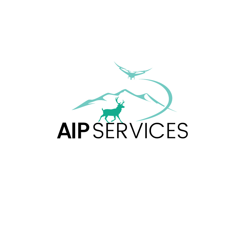 Diseño de Logo por instudio para AIP Services | Diseño #27180113