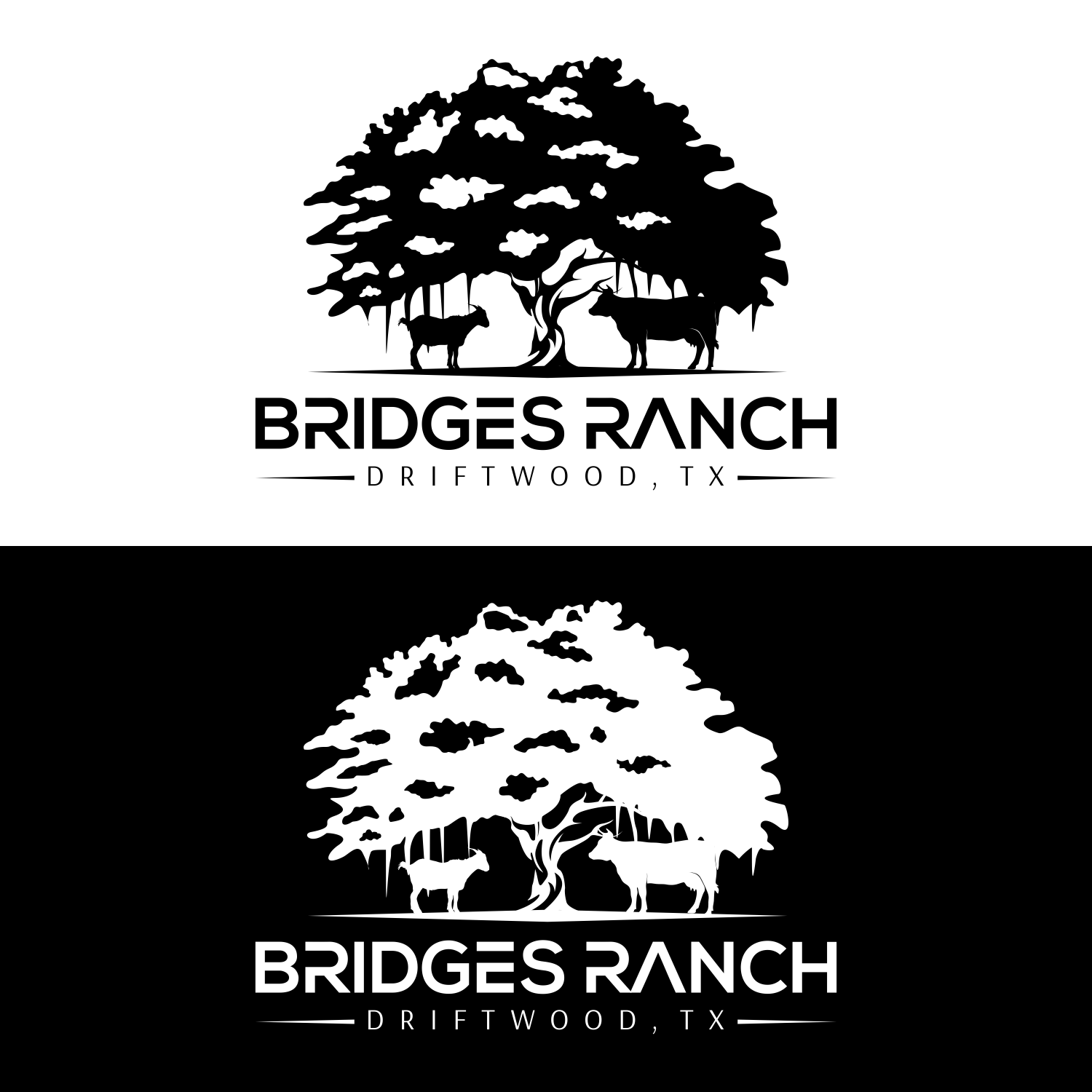 Logo Design by catrline for this project | Design #27167387