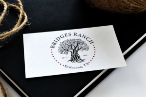 Logo Design by LN 991 for this project | Design: #27194418