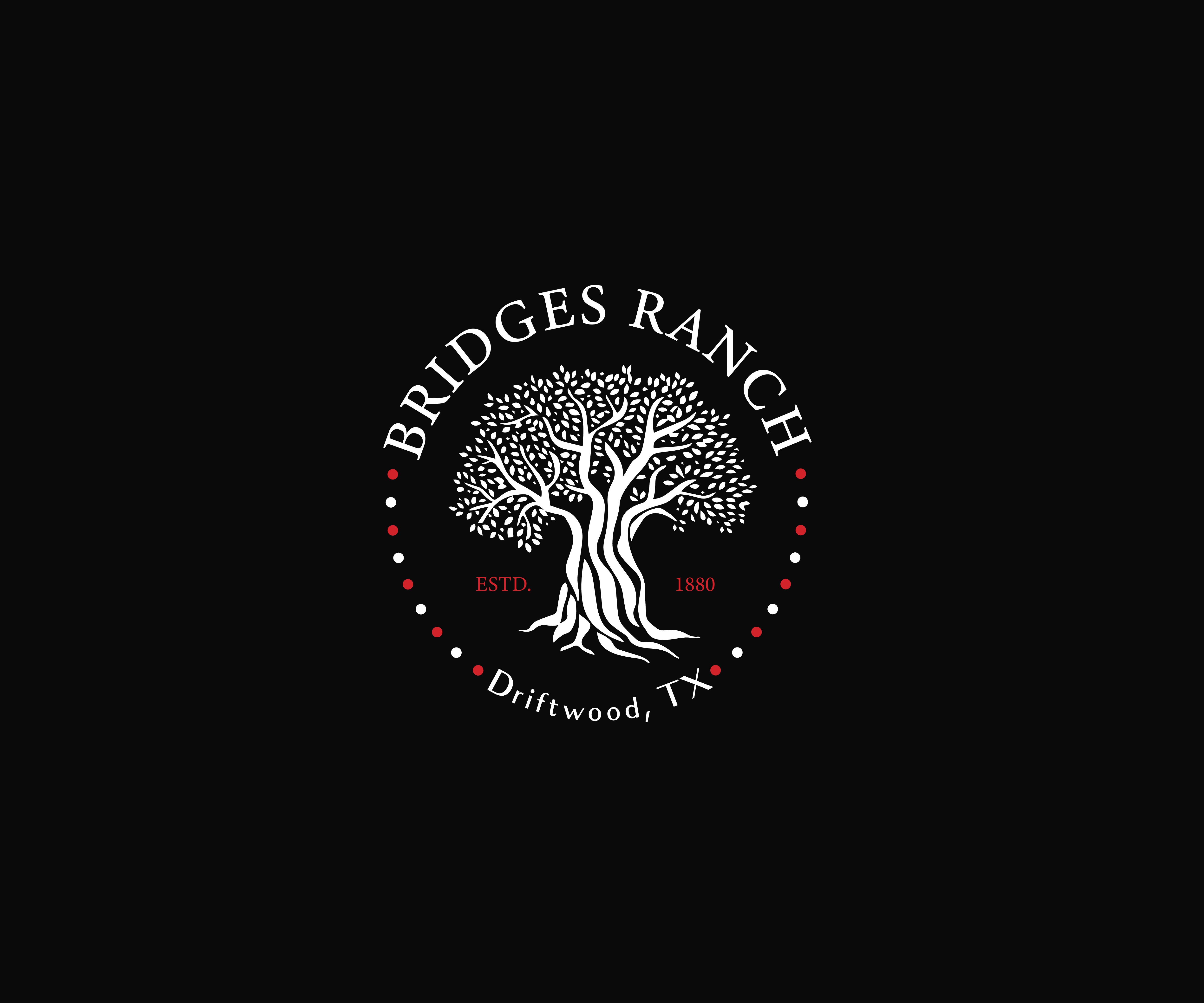 Logo Design by LN 991 for this project | Design #27194419