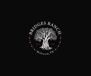 Logo Design by LN 991 for this project | Design: #27194419