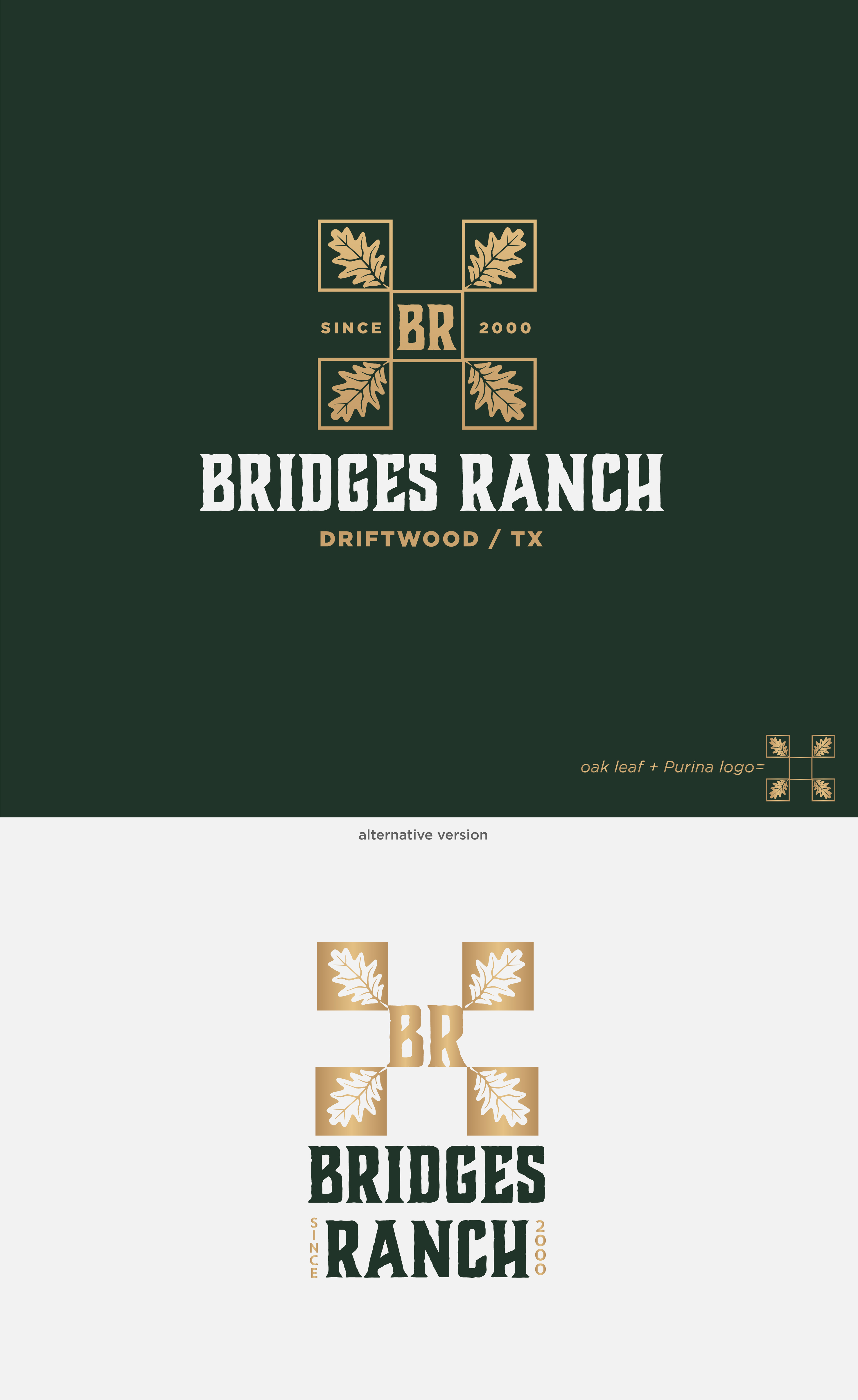 Logo Design by Birdcage for this project | Design #27198294