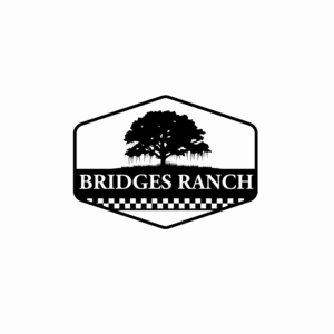 Bridges Ranch (we could also put the location which is Driftwood, TX) | Diseño de Logo por mazyo2x