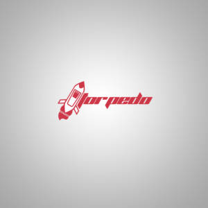 Logo Design by theZeal