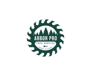 Logo Design by Nur 34