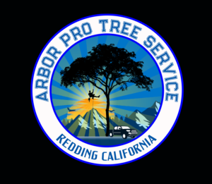 Logo Design by louiemagno2005 for this project | Design #27183012