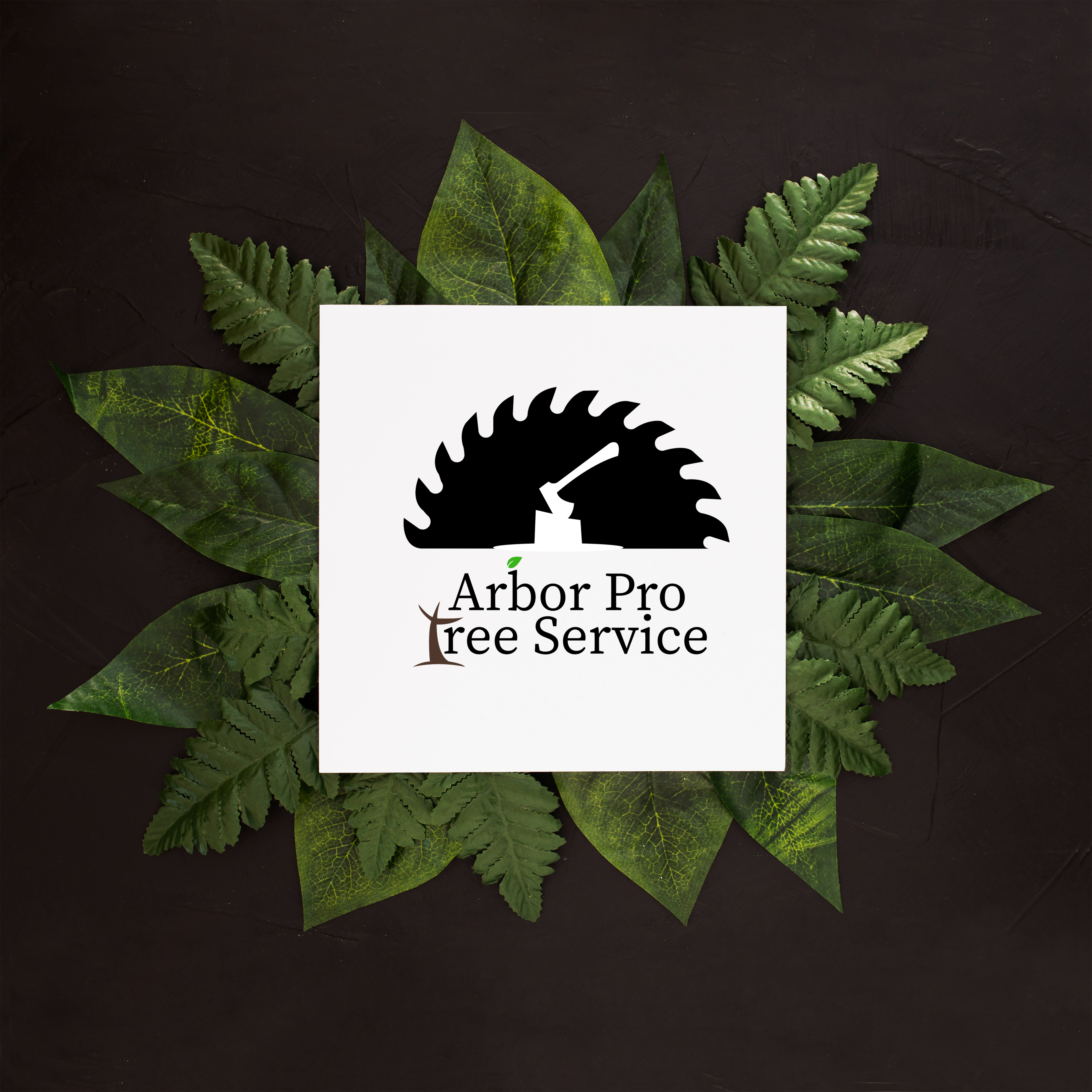 Logo Design by Edx Digital for this project | Design #27202388