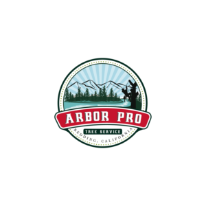 Logo Design by rashelraj517