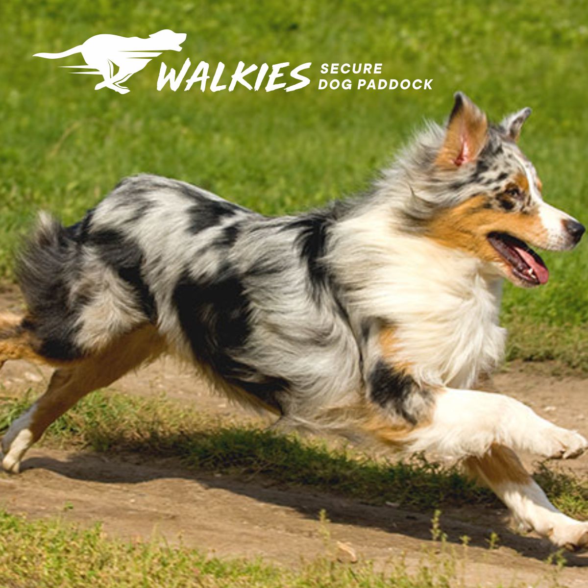Logo Design by Ashani Bhattacharya for Walkies | Design #27210984