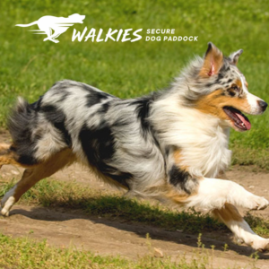Logo Design by Ashani Bhattacharya for Walkies | Design: #27210984