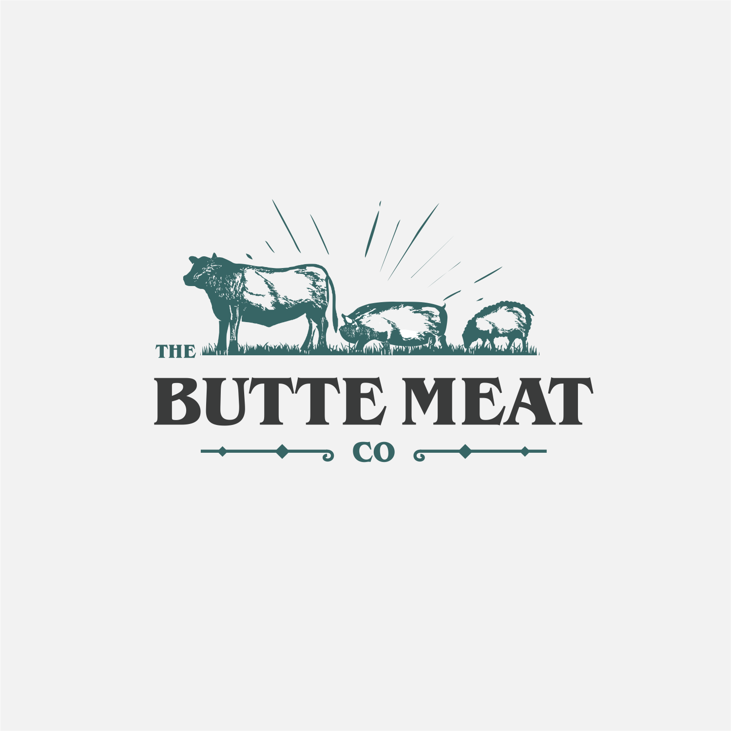 Logo Design by ThiagoB for this project | Design #27187611