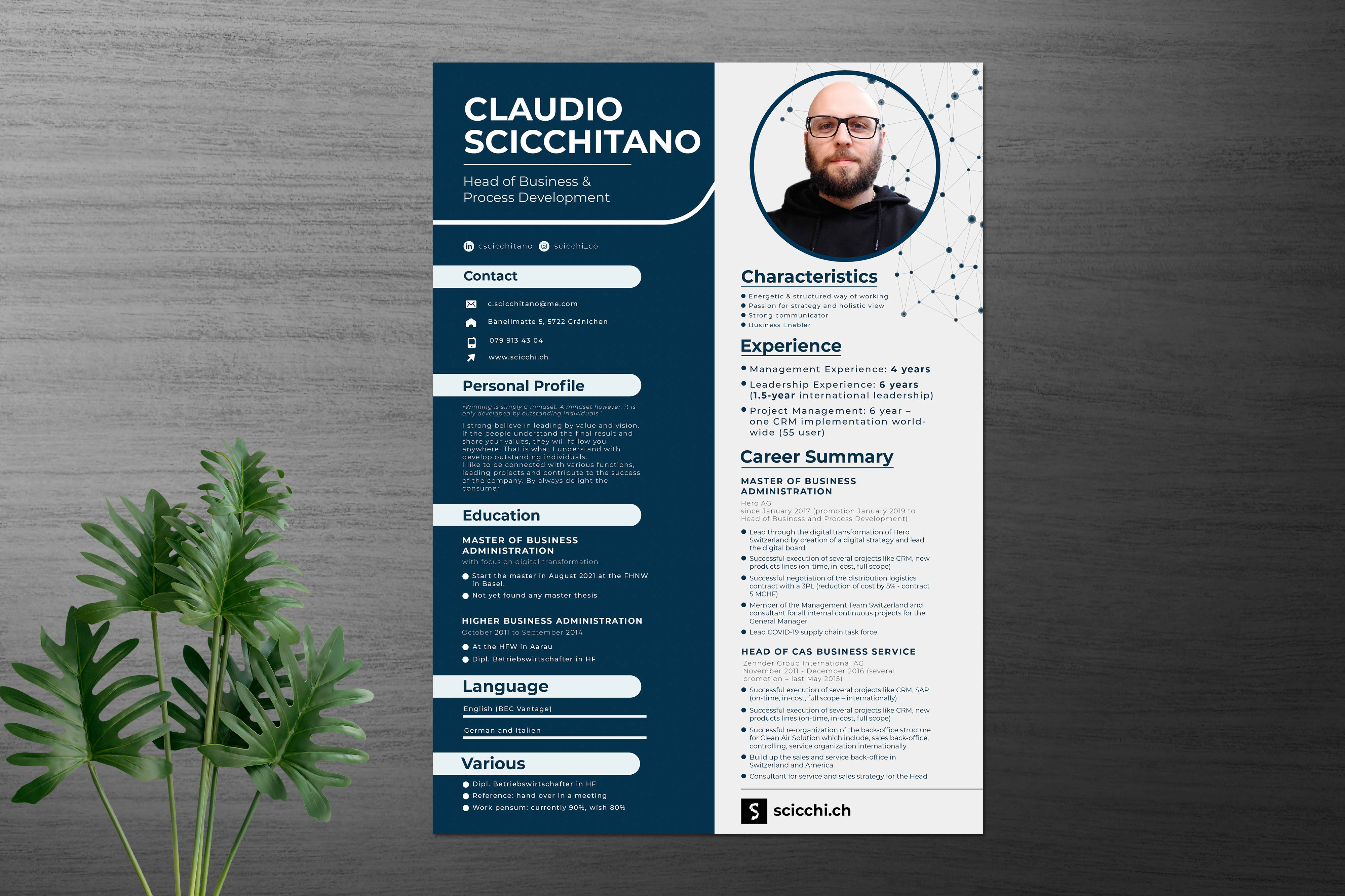 Design de CV par Shamim_Design pour ce projet | Design #27193429