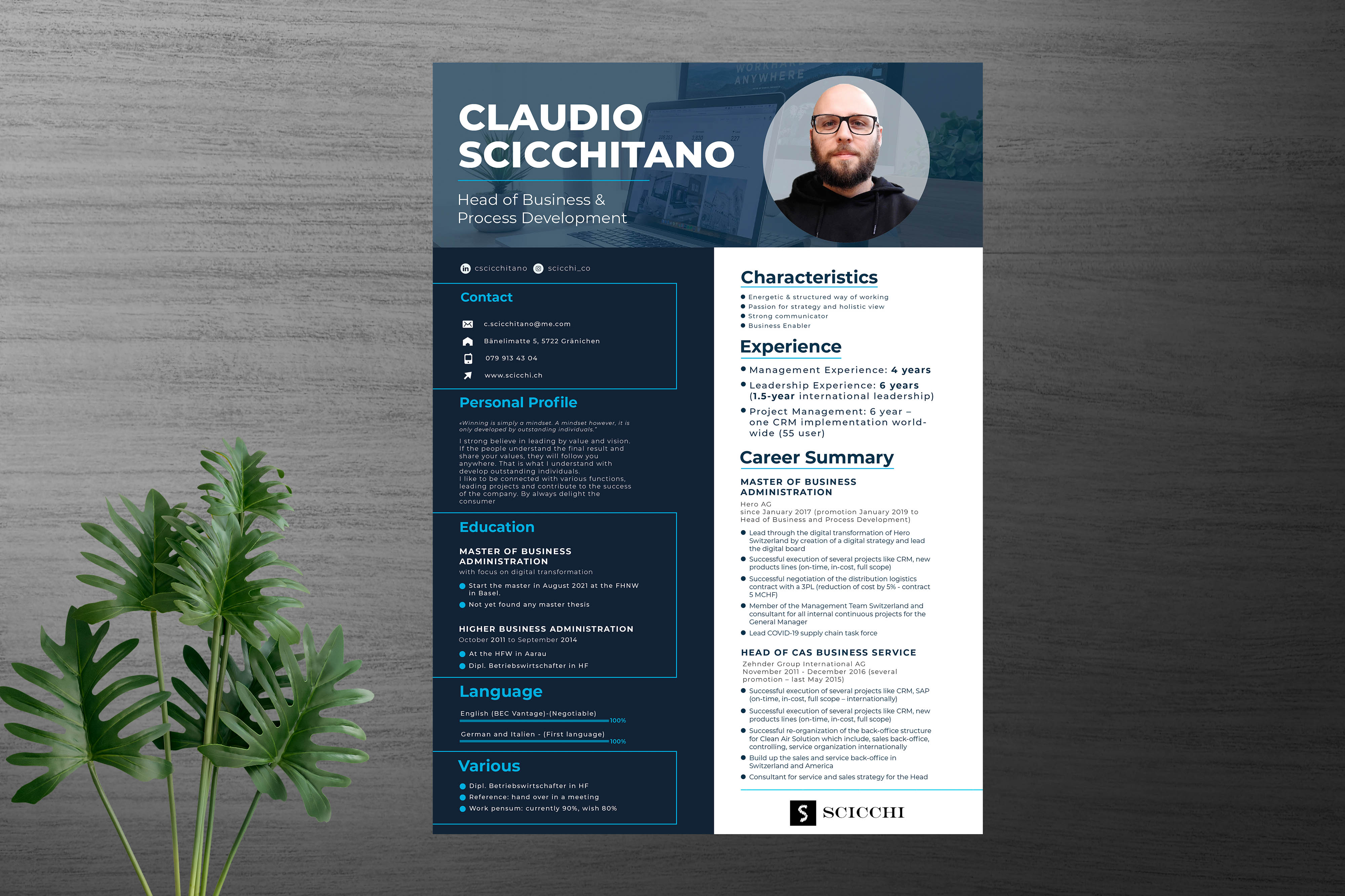 Design de CV par Shamim_Design pour ce projet | Design #27193809