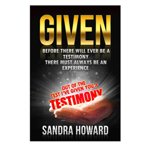 Book Cover Design by NatPearlDesigns for this project | Design: #27251933