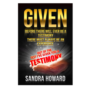 Book cover design for a book named GIVEN | Design de Couverture de Livre par NatPearlDesigns