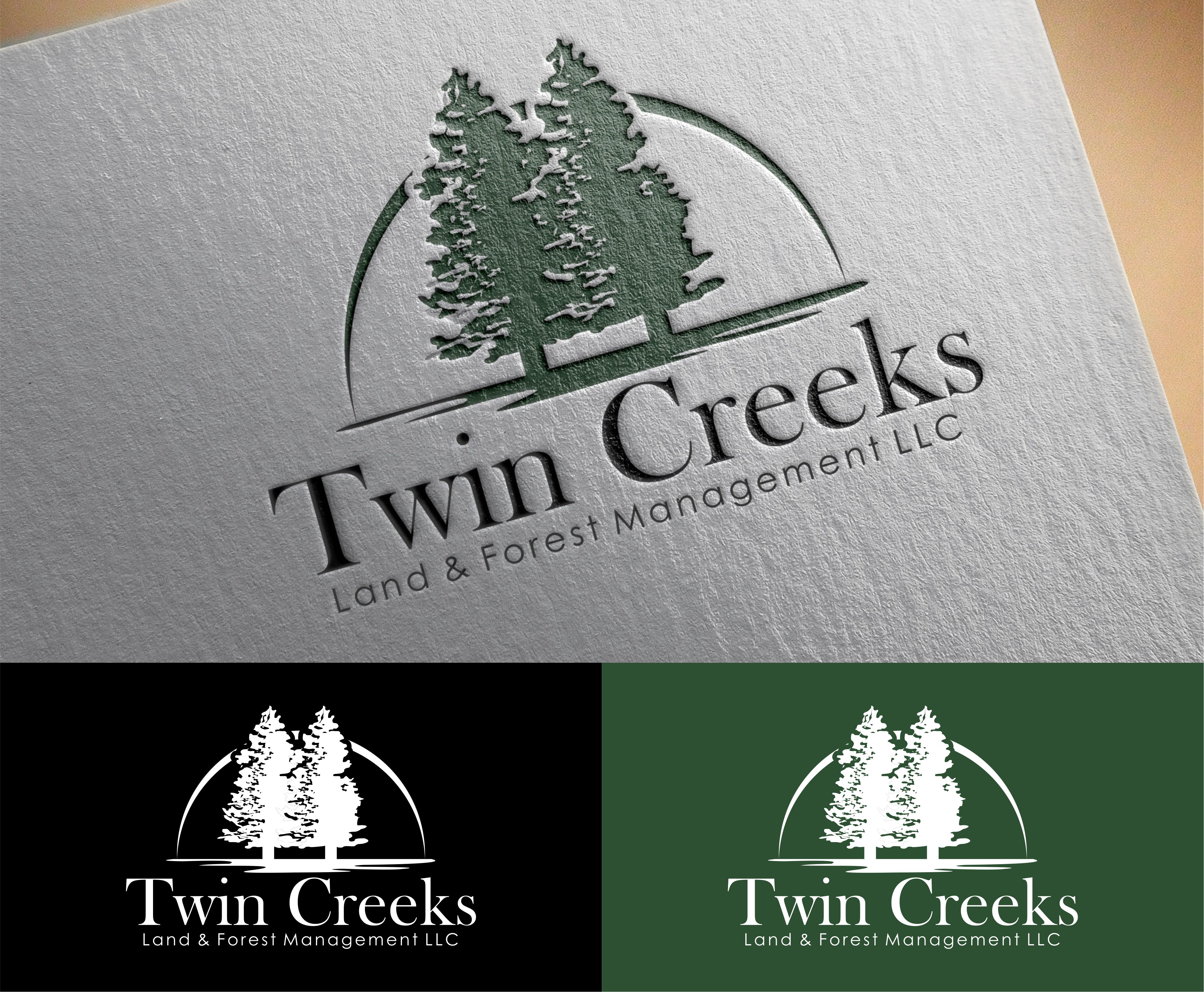 Logo Design by vta for this project | Design #27207375