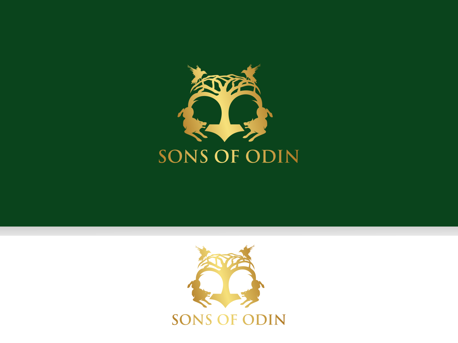 Logo Design by zilong graphic for this project | Design #27211669