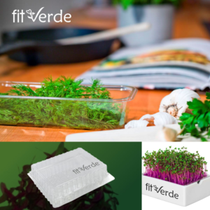Fit Verde (brand name) / Microgreens (product name) | Logo-Design von Ashani Bhattacharya