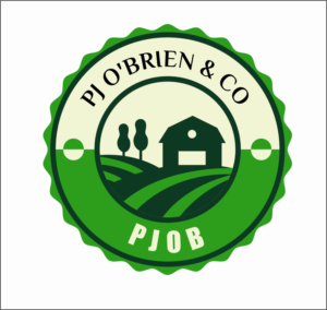 Logo Design by Solaxes Technologies