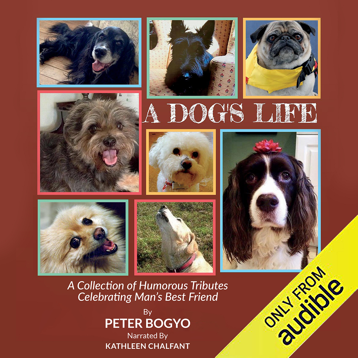 Design de Couverture de Livre par CreaTVIT pour ce projet | Design #27233429