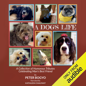 Book Cover Design by CreaTVIT