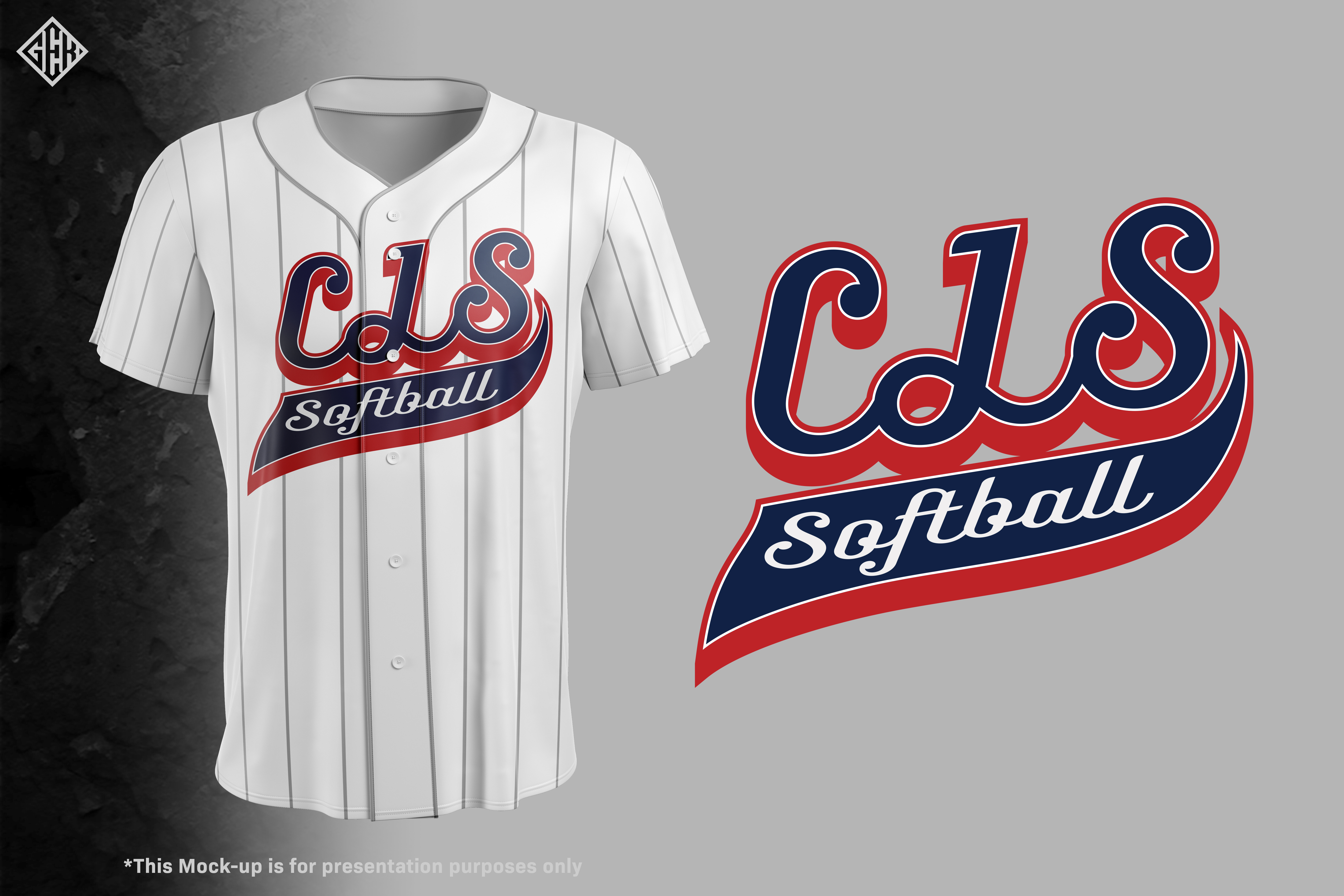 Diseño de Camiseta por gekgrfx para este proyecto | Diseño #27241057