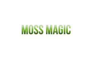 Moss Magic | Logo Design by Birdcage