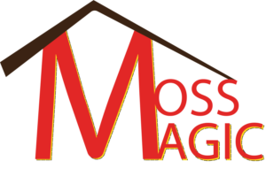 Logo Design by nirmani