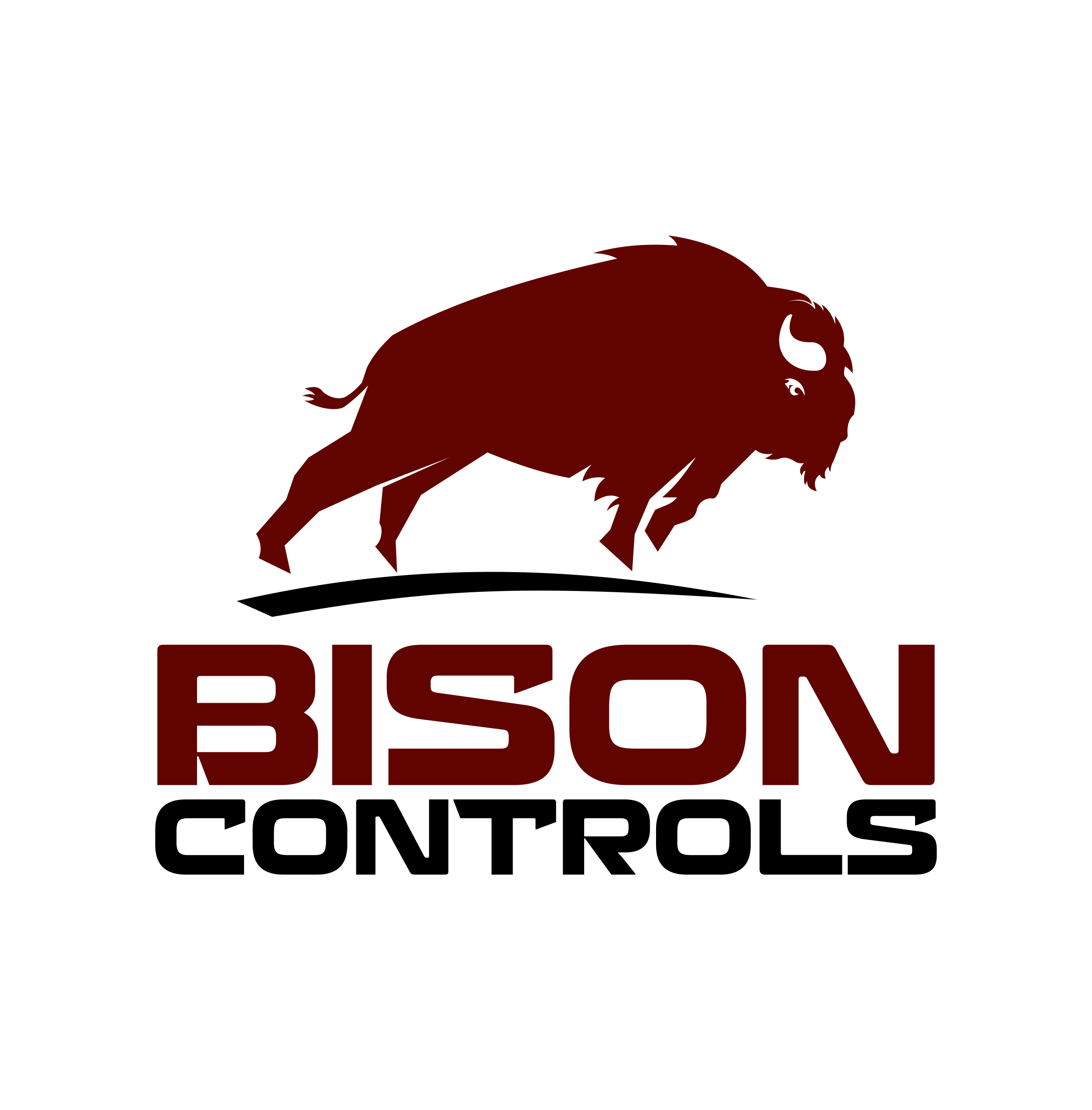 Logo Design by ERLANDO RONTE RDJ for Bison Controls, LLC | Design #27235356