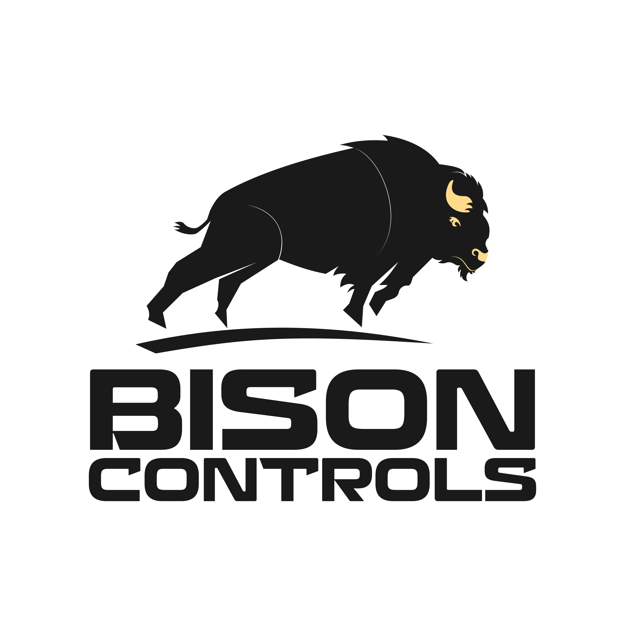 Logo Design by ERLANDO RONTE RDJ for Bison Controls, LLC | Design #27235732
