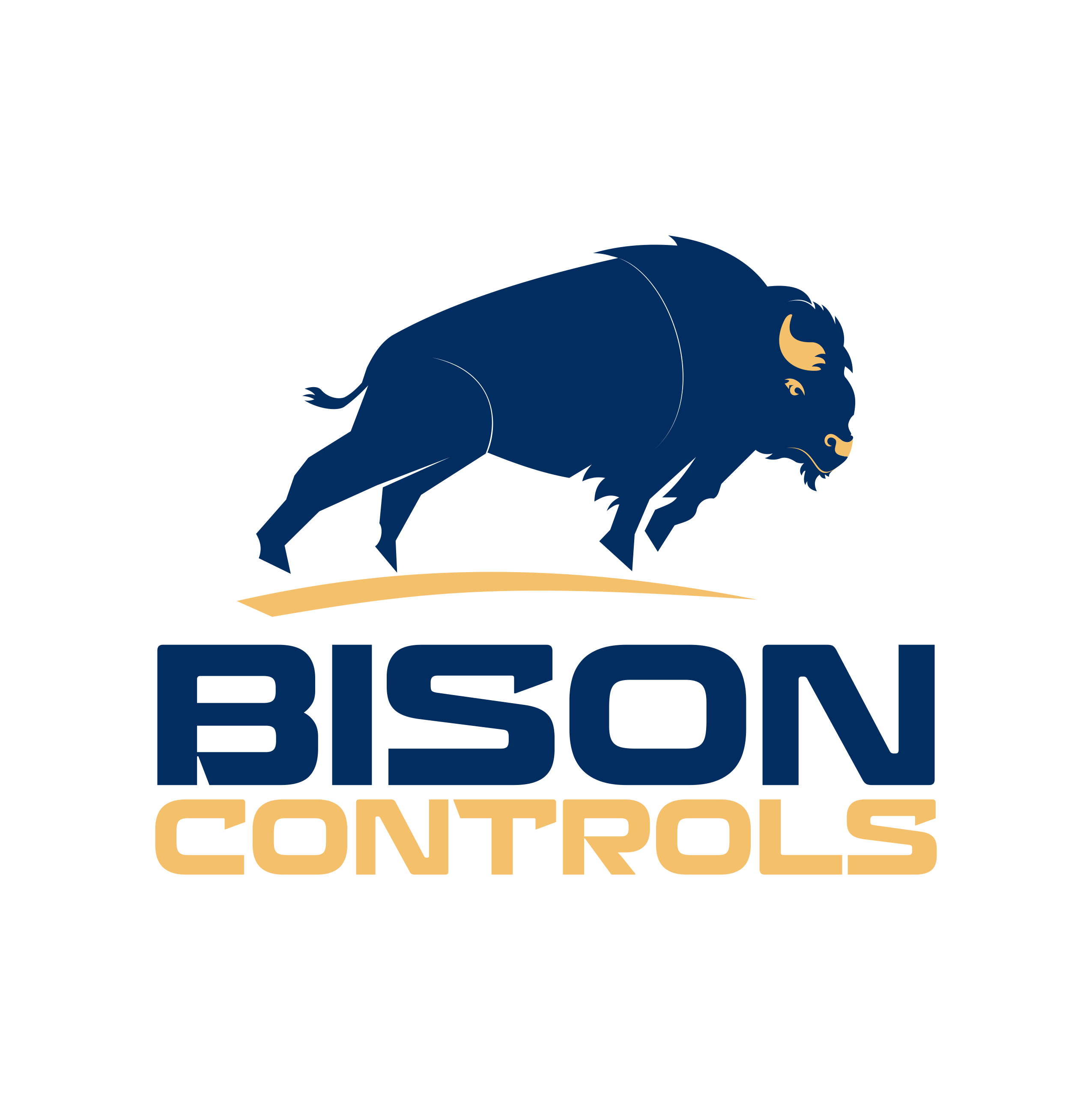 Logo Design by ERLANDO RONTE RDJ for Bison Controls, LLC | Design #27235759