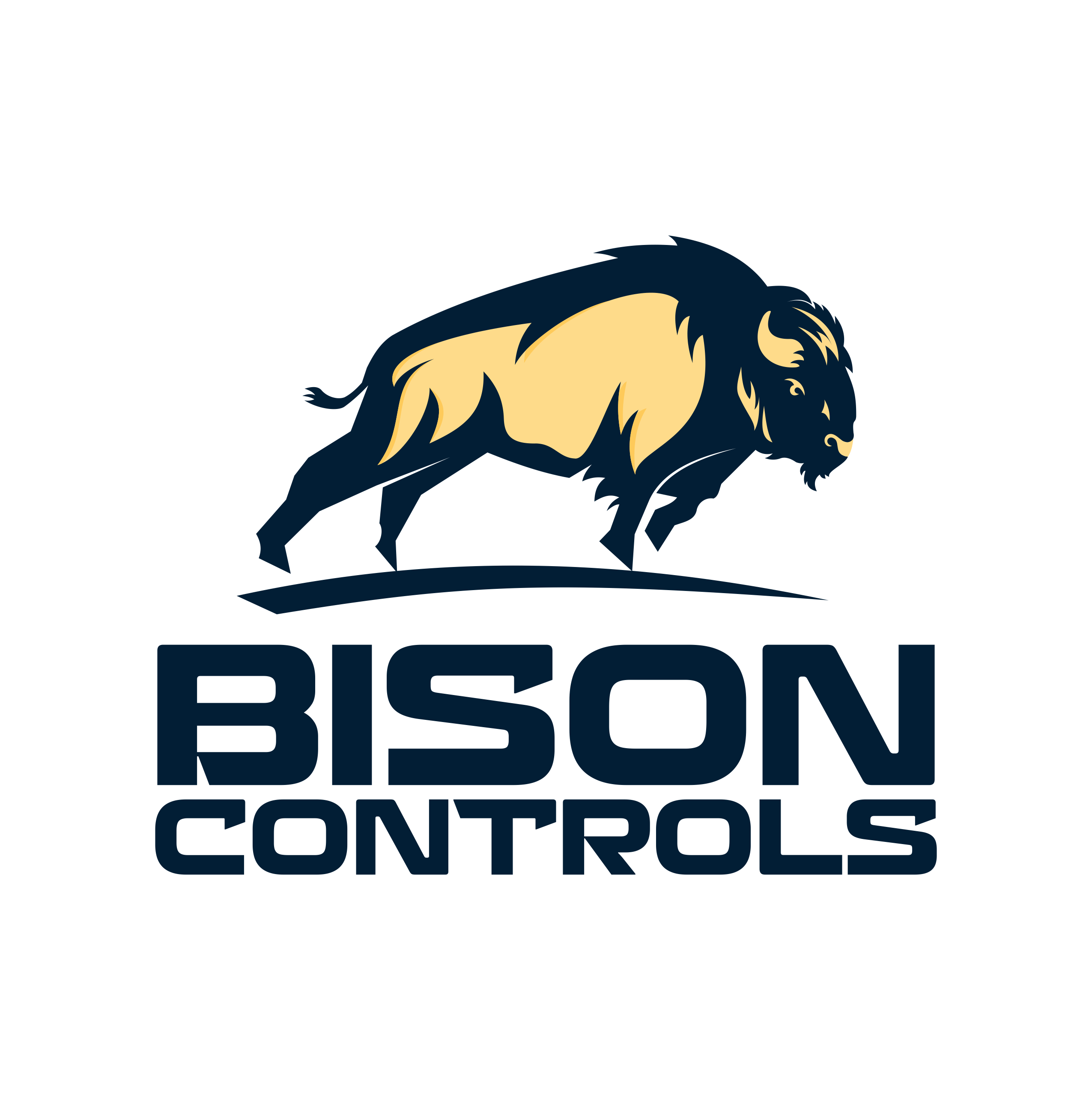 Logo Design by ERLANDO RONTE RDJ for Bison Controls, LLC | Design #27244038