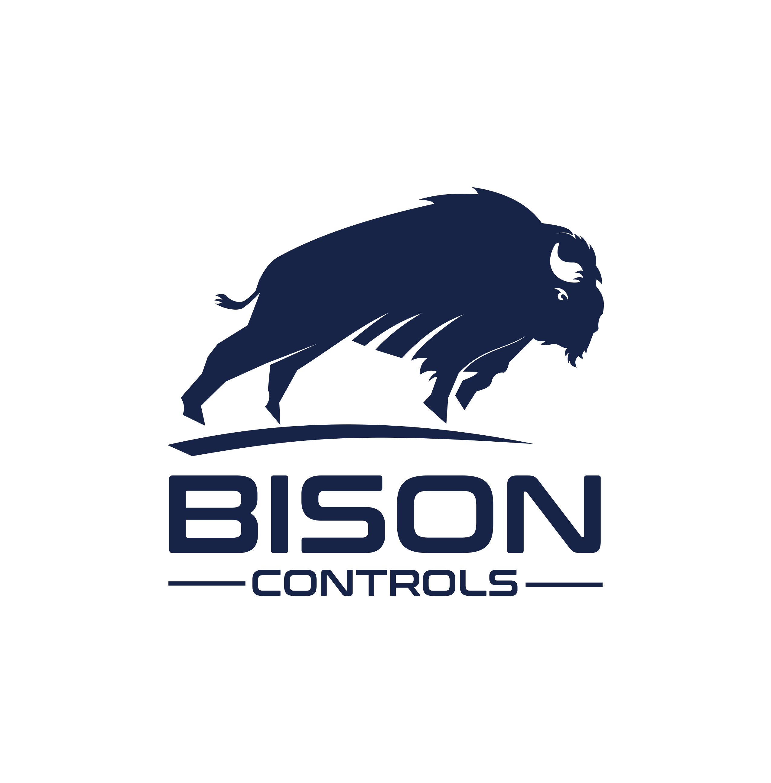 Logo Design by ERLANDO RONTE RDJ for Bison Controls, LLC | Design #27267963