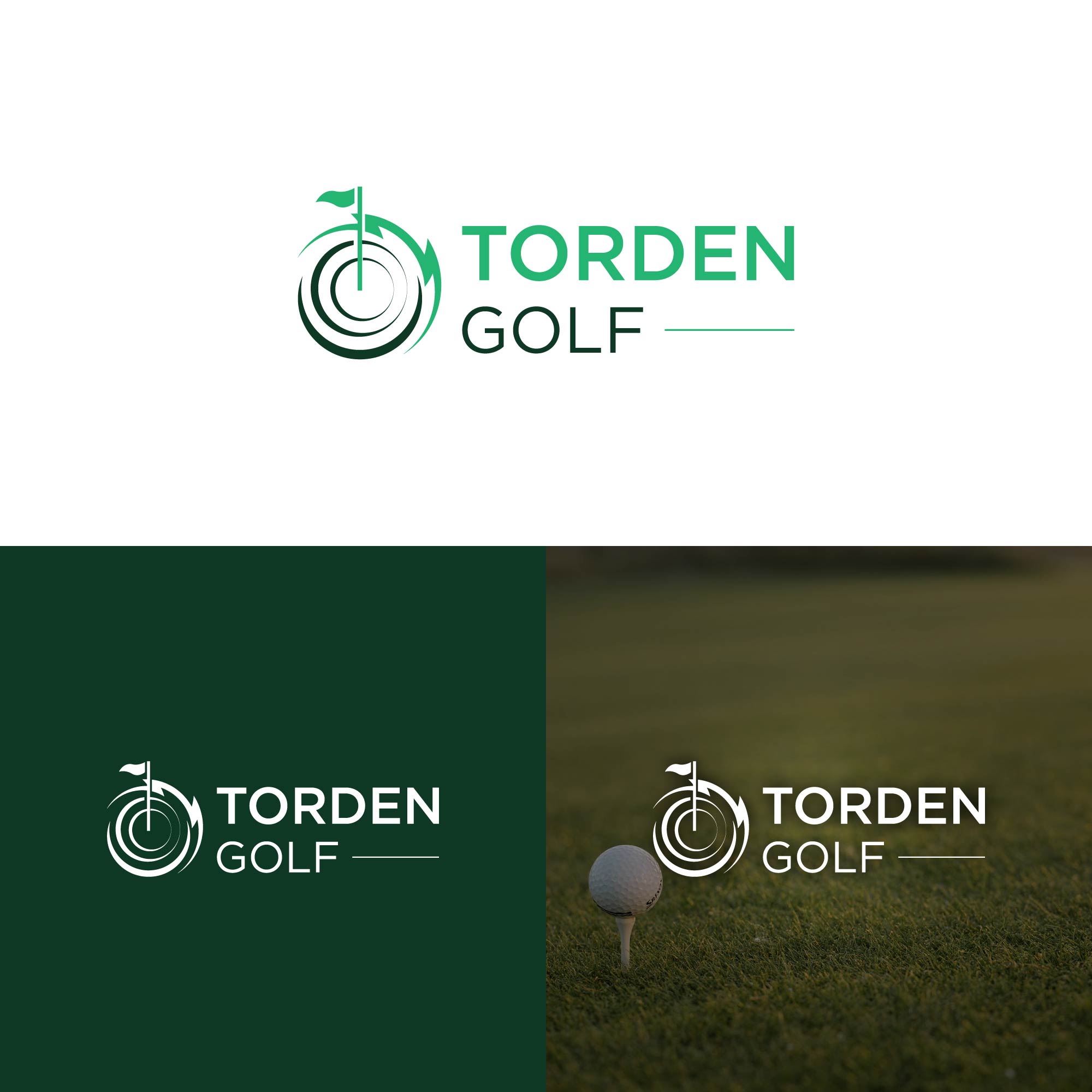 Logo-Design von kaushal 05 für Xuridisa Limited | Design #27237420