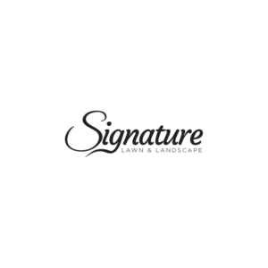 Logo Design by Jamuga