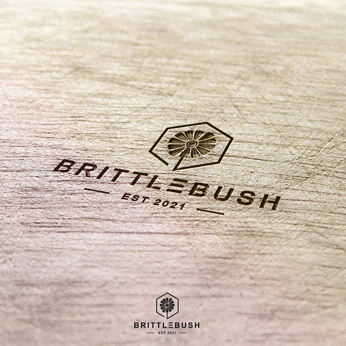 Logo Design by Jpnueva for this project | Design #27258784