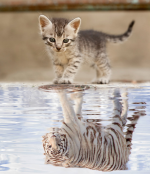 T-Shirt-Design von George_Louis für dieses Projekt | Design: #27279508