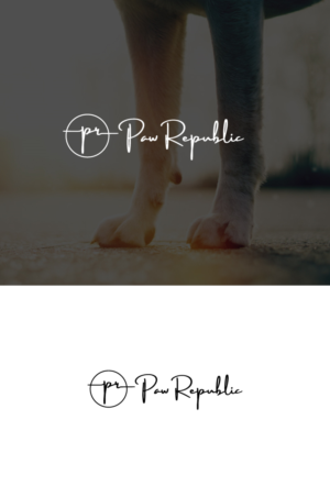Logo Design by JolieDesign for Roto Wash | Design #27254604