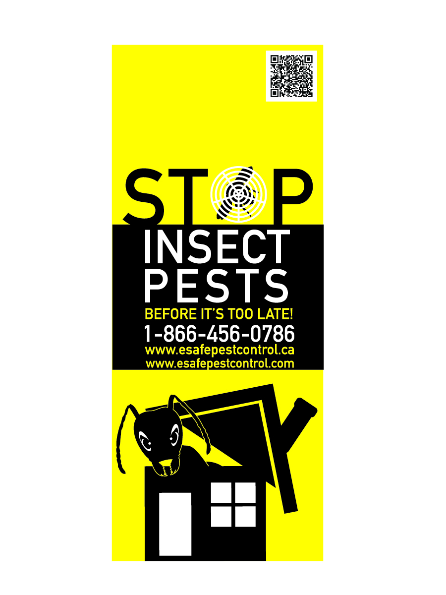 Advertisement Design by Studio8 for this project | Design #3163873