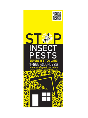 Advertisement Design by Studio8 for this project | Design: #3170630