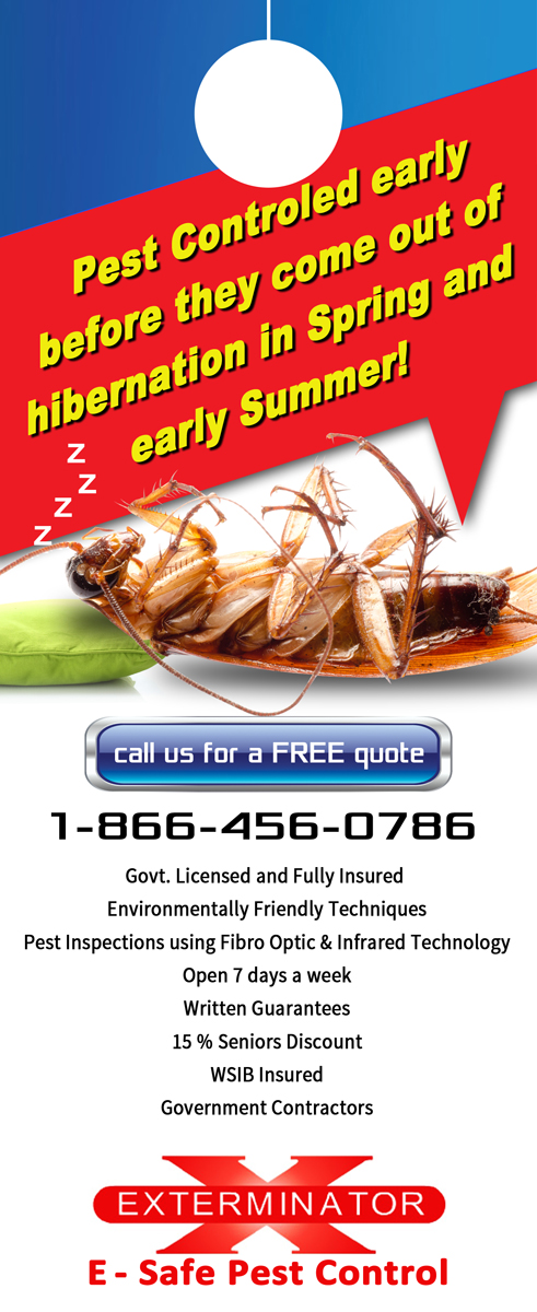 Design Publicitaire par Memorylane pour ce projet | Design #3187387